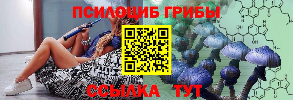 Галлюциногенные грибы прущие грибы  Псилоцибиновые грибы Psilocybine cubensis  Верхний Уфалей  Вход с VPN 