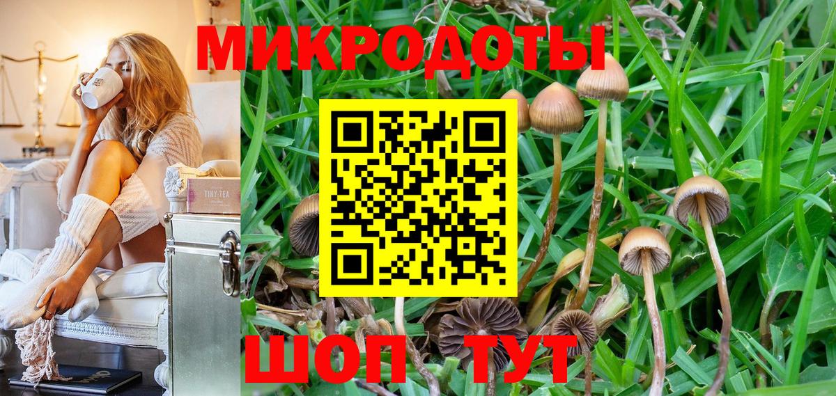 Псилоцибиновые грибы мицелий Верхний Уфалей